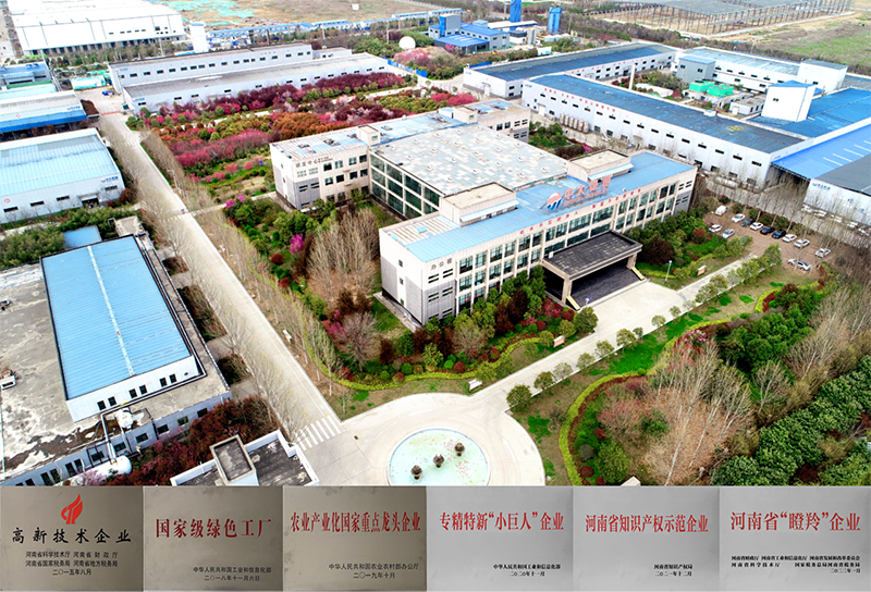 开云官方网页版资质证书.png